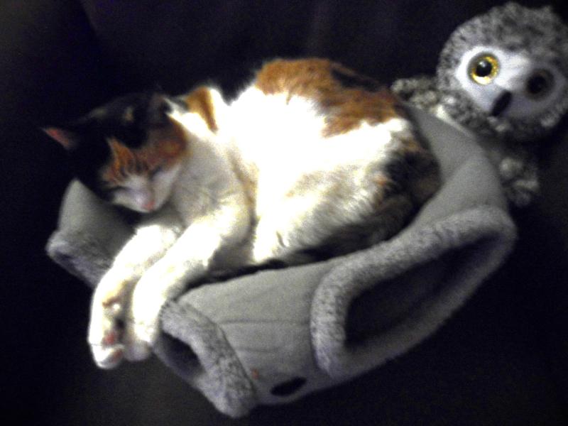 erna63 uploaded   73  day/s  ago