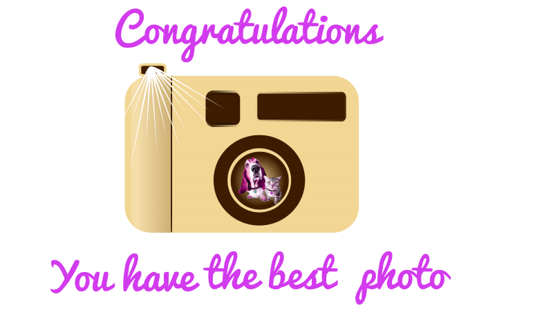 erna63 uploaded   69  day/s  ago