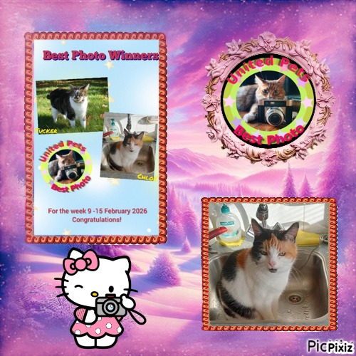 erna63 uploaded   69  day/s  ago