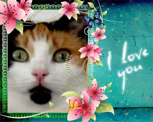 erna63 uploaded   69  day/s  ago