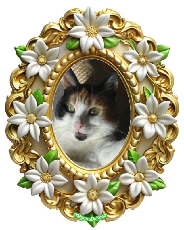 erna63 uploaded   84  day/s  ago