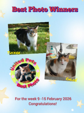 erna63 uploaded   69  day/s  ago