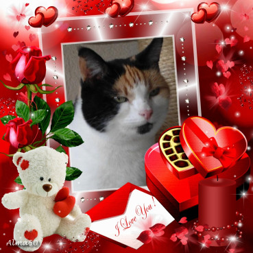 erna63 uploaded   71  day/s  ago