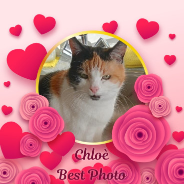 erna63 uploaded   69  day/s  ago