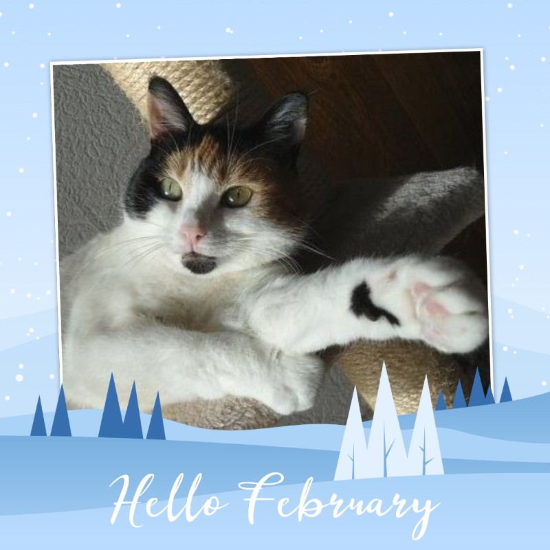 erna63 uploaded   86  day/s  ago