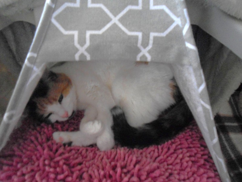 erna63 uploaded   84  day/s  ago