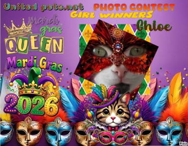 erna63 uploaded   81  day/s  ago