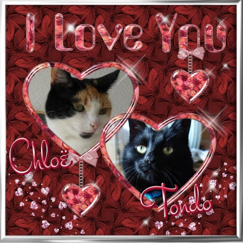 erna63 uploaded   81  day/s  ago