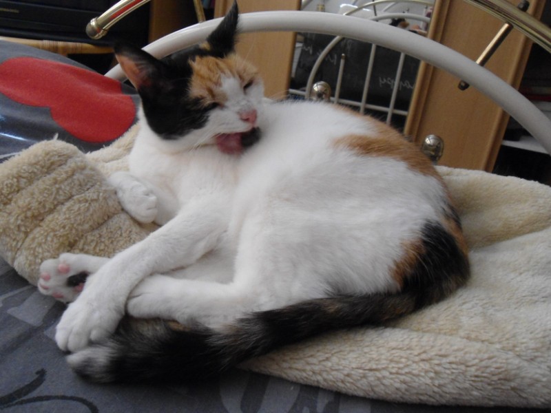 Chloë of the erna63 family