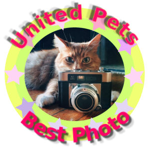 erna63 uploaded   70  day/s  ago