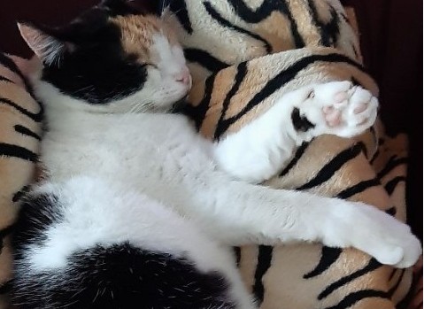 erna63 uploaded   64  day/s  ago