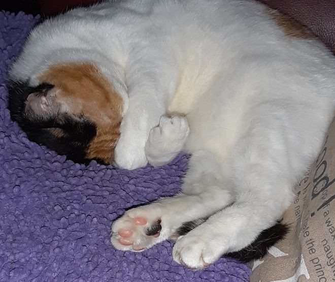 erna63 uploaded   64  day/s  ago