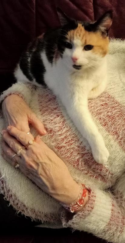 erna63 uploaded   5  day/s  ago