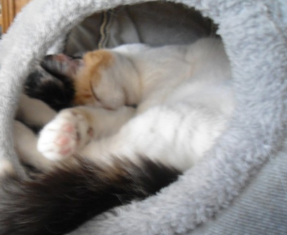 erna63 uploaded   5  day/s  ago