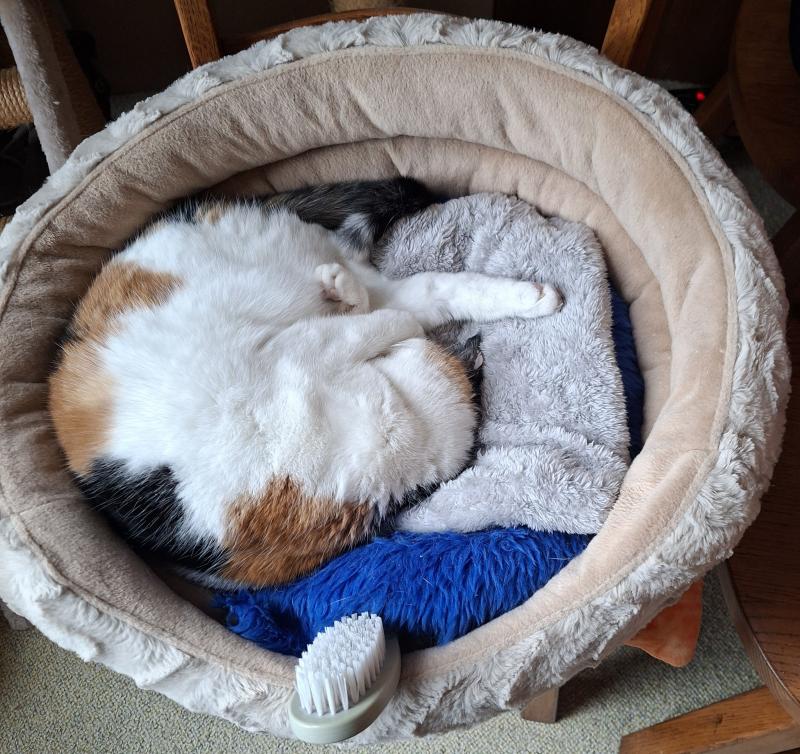 erna63 uploaded   3  day/s  ago