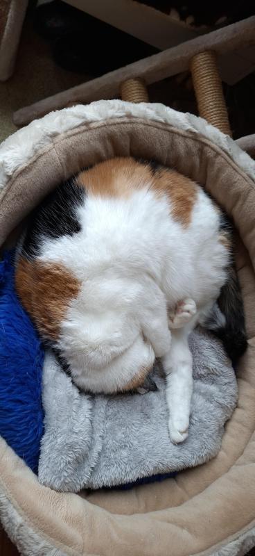 erna63 uploaded   3  day/s  ago