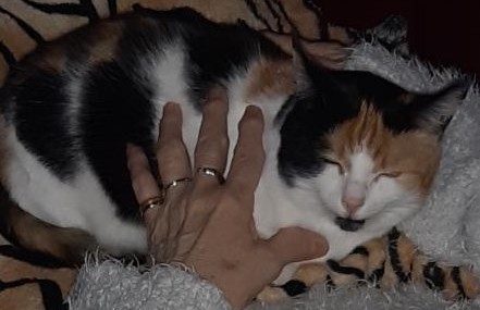 erna63 uploaded   57  day/s  ago