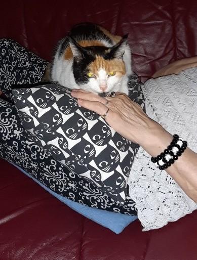 erna63 uploaded   57  day/s  ago