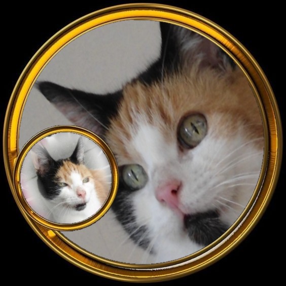 erna63 uploaded   60  day/s  ago