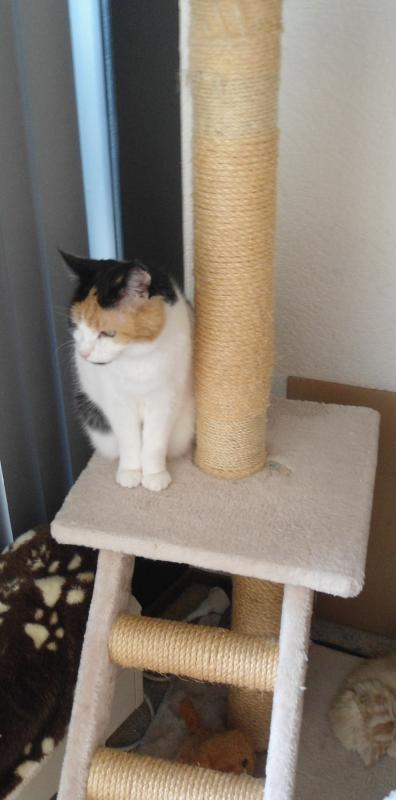 erna63 uploaded   54  day/s  ago