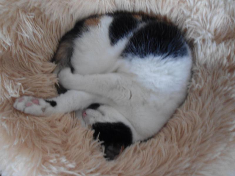 erna63 uploaded   53  day/s  ago