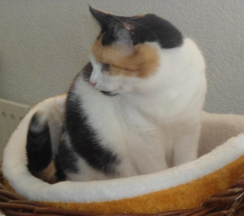 erna63 uploaded   53  day/s  ago