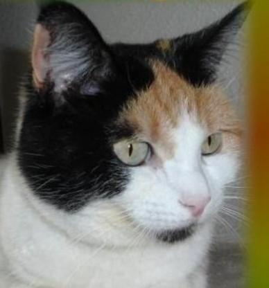 erna63 uploaded   34  day/s  ago