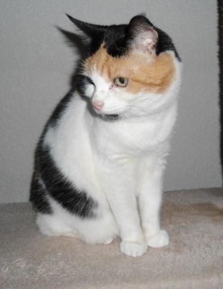 erna63 uploaded   34  day/s  ago