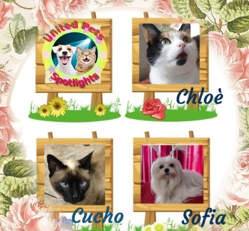 erna63 uploaded   35  day/s  ago