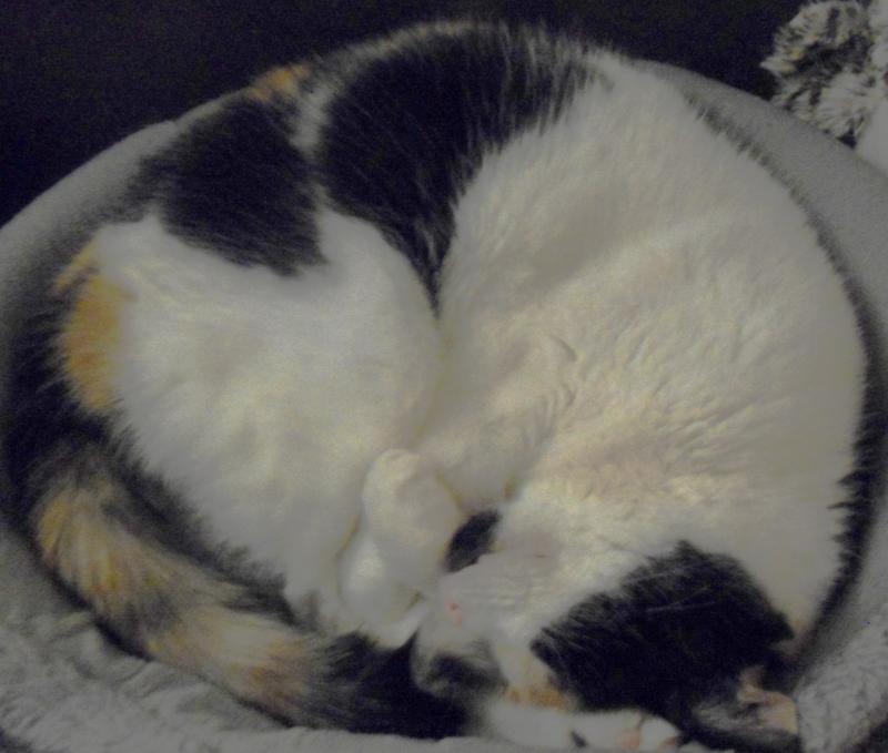 erna63 uploaded   33  day/s  ago