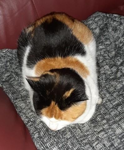 erna63 uploaded   32  day/s  ago