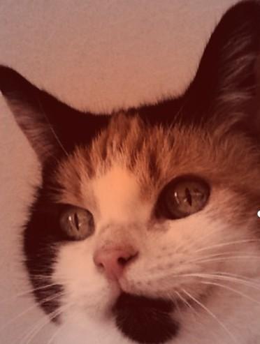 erna63 uploaded   34  day/s  ago