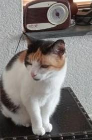 erna63 uploaded   31  day/s  ago