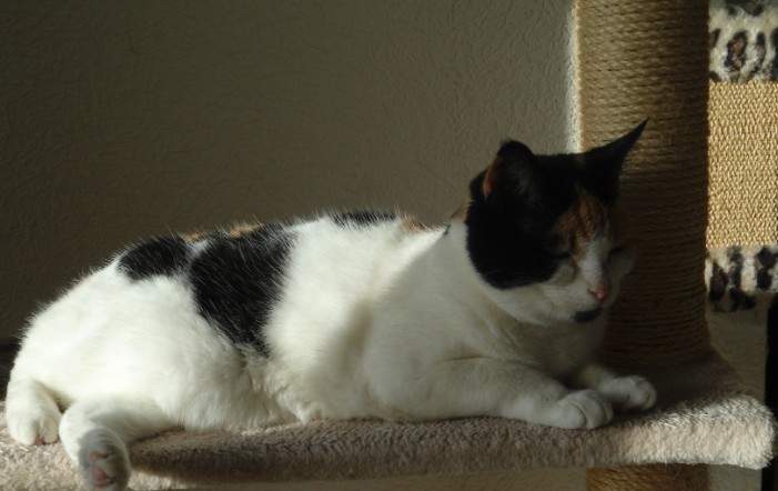 erna63 uploaded   28  day/s  ago