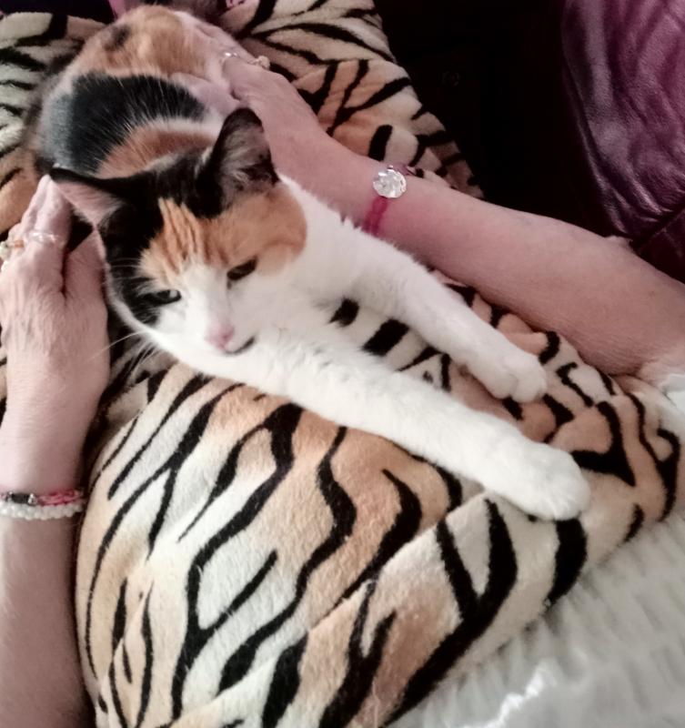 erna63 uploaded   19  day/s  ago