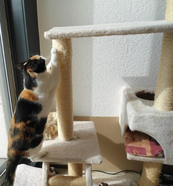 erna63 uploaded   19  day/s  ago