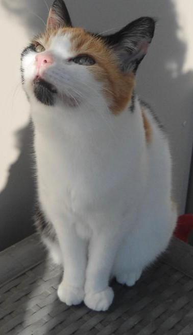 erna63 uploaded   14  day/s  ago