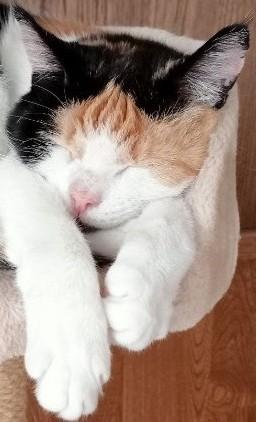 erna63 uploaded   43  day/s  ago