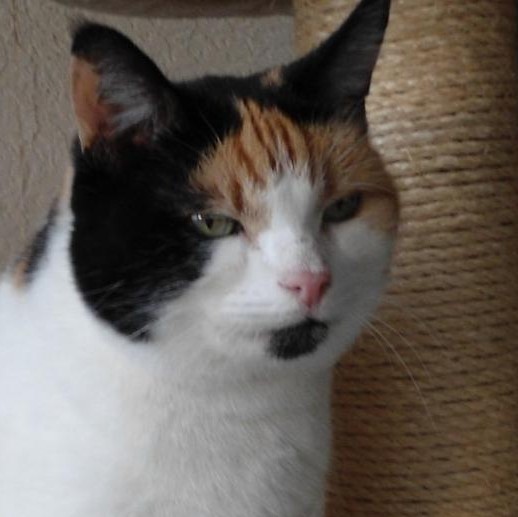 Chloë of the erna63 family