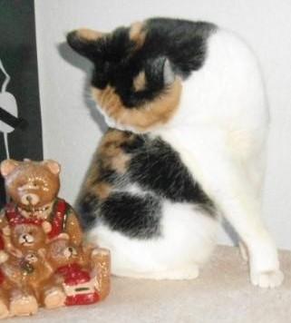 Chloë of the erna63 family