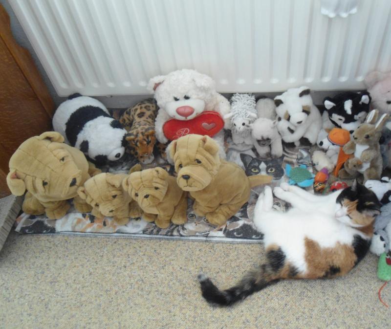 Chloë of the erna63 family