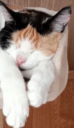 erna63 uploaded   9  day/s  ago