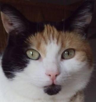 erna63 uploaded   9  day/s  ago