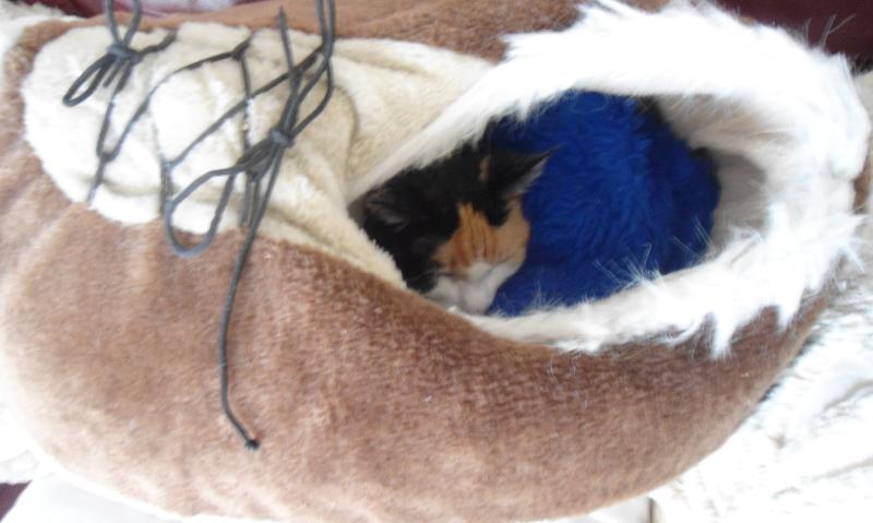 erna63 uploaded   9  day/s  ago