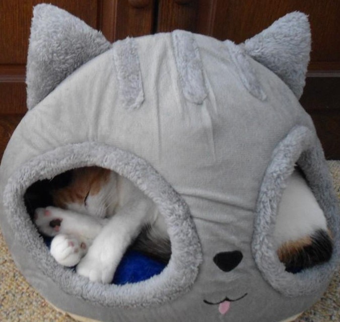 erna63 uploaded   9  day/s  ago