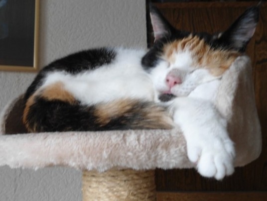 erna63 uploaded   9  day/s  ago