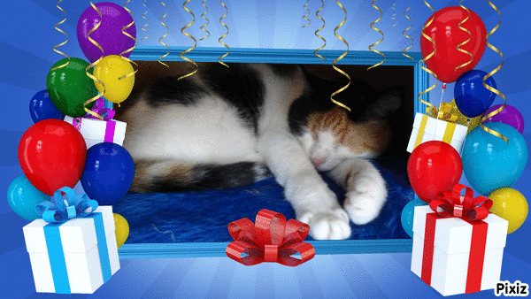 erna63 uploaded   10  day/s  ago