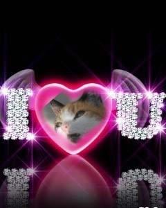 erna63 uploaded   7  day/s  ago