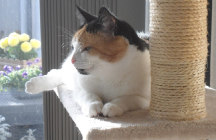 Chloë of the erna63 family