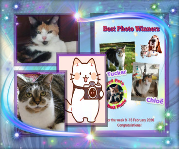 erna63 uploaded   68  day/s  ago